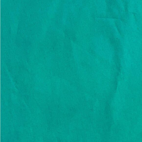 MINTLIMIT Women's 1950s Vintage Wrap Retro Cocktail Swing Plain A-line Size XL - Picture 10 of 11